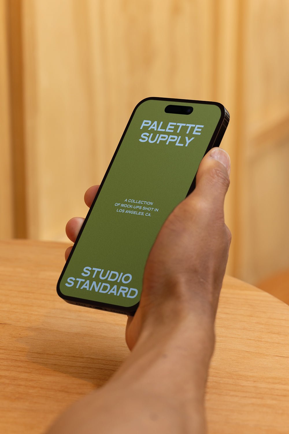 iPhone Mockup SS – PAL 058 - Palette Supply