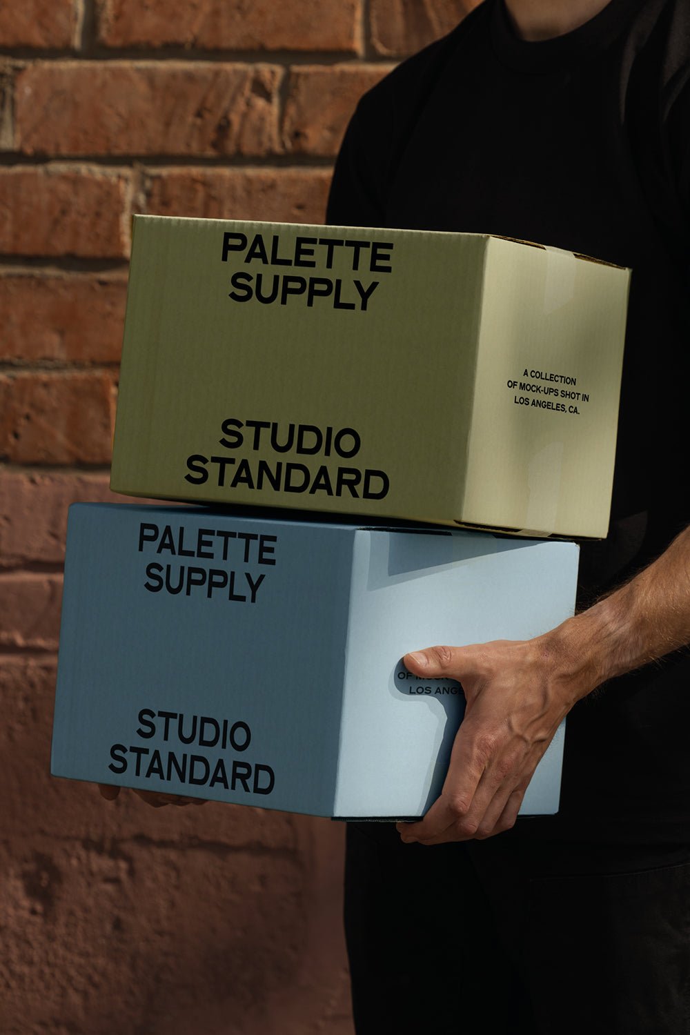 Packaging Boxes Mockup SS – PAL 016 - Palette Supply