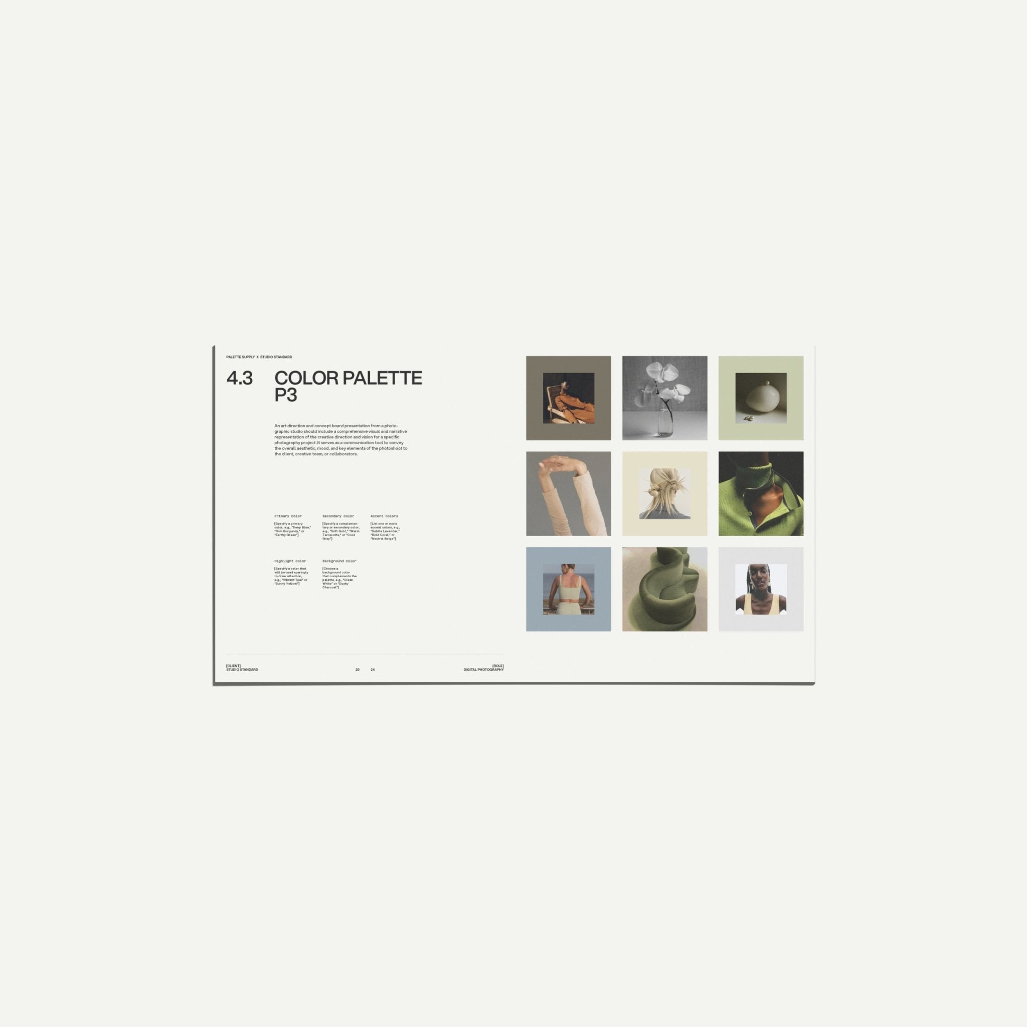 SS x Palette: Art Direction and Mood - Palette Supply