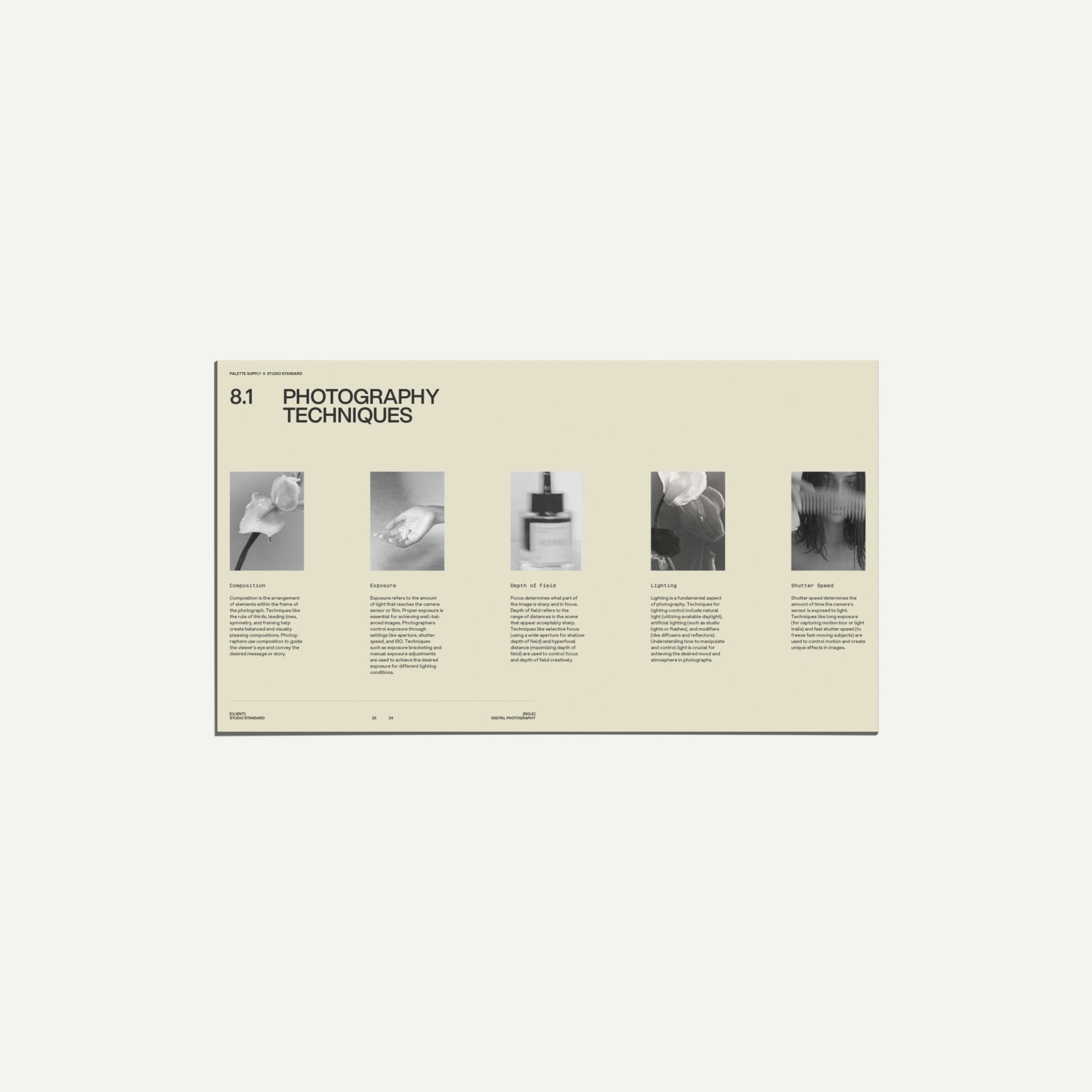 SS x Palette: Art Direction and Mood - Palette Supply