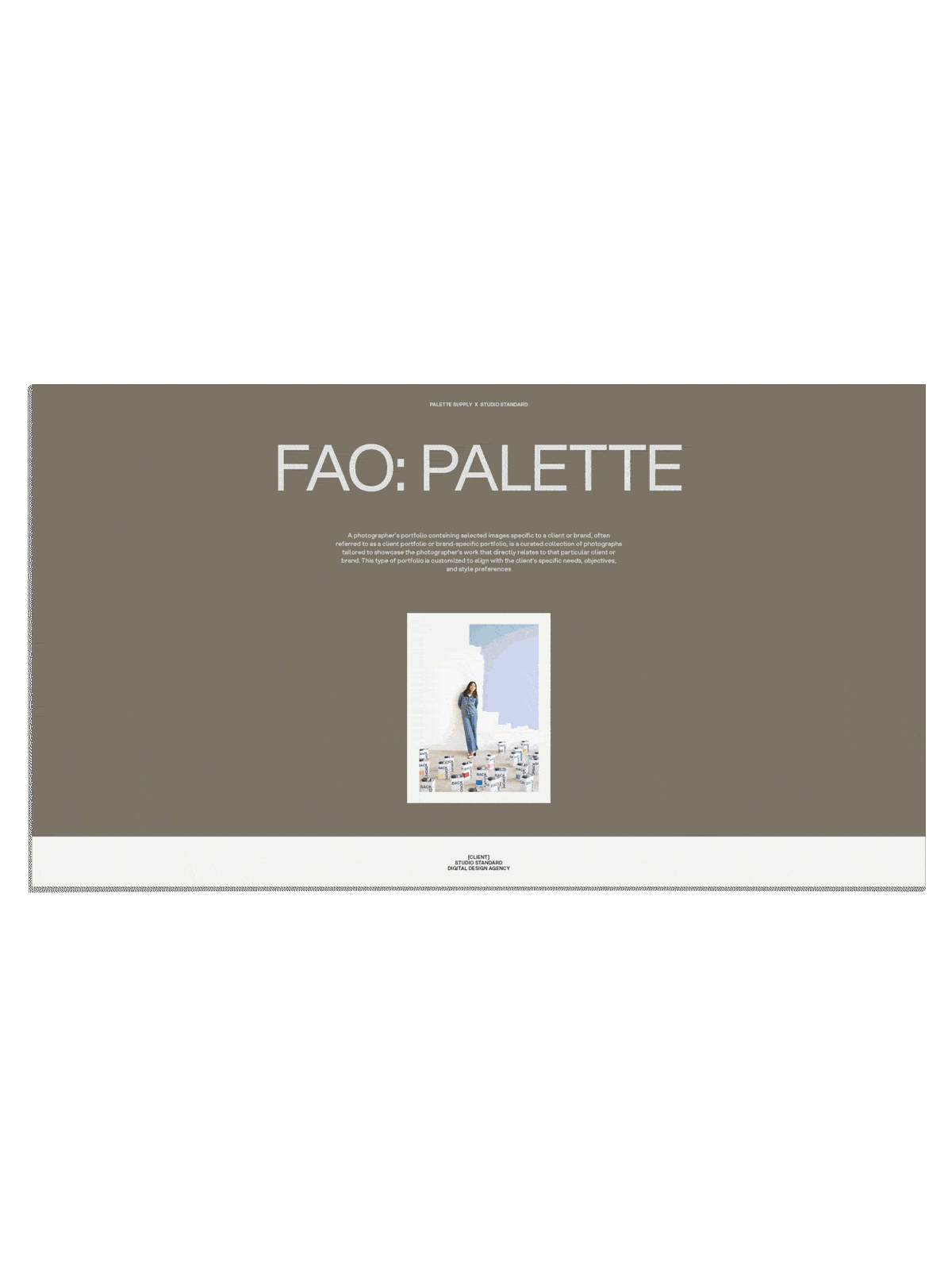 SS x Palette: Brand Specific Portfolio - Palette Supply
